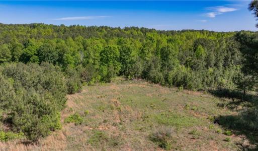 Photo #11 of 3917 Mountain Creek, Asheboro, NC 11.6 acres