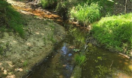 Photo #6 of 5022 Mt Hermon Rock Creek, Snow Camp, NC 19.7 acres