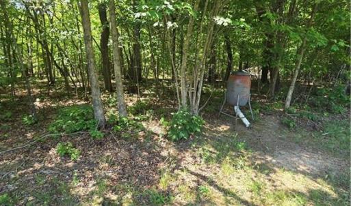 Photo #13 of 5022 Mt Hermon Rock Creek, Snow Camp, NC 19.7 acres