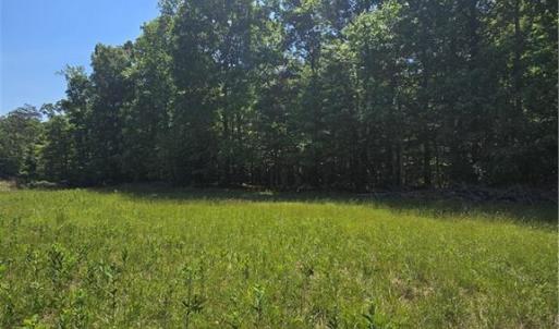 Photo #17 of 5022 Mt Hermon Rock Creek, Snow Camp, NC 19.7 acres