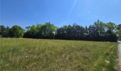 Photo #5 of 5022 Mt Hermon Rock Creek, Snow Camp, NC 19.7 acres