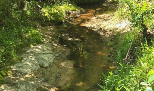 Photo #20 of 5022 Mt Hermon Rock Creek, Snow Camp, NC 19.7 acres