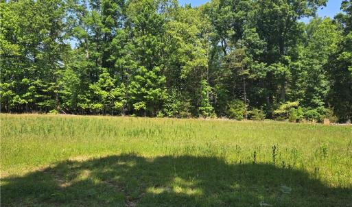 Photo #10 of 5022 Mt Hermon Rock Creek, Snow Camp, NC 19.7 acres