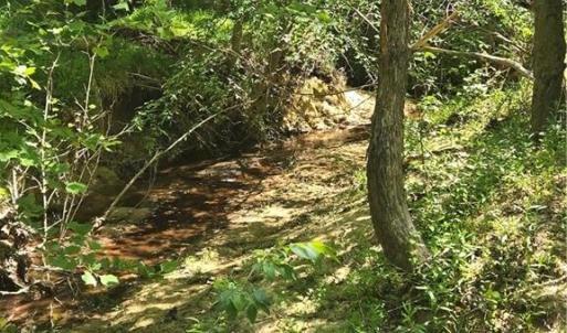 Photo #18 of 5022 Mt Hermon Rock Creek, Snow Camp, NC 19.7 acres
