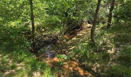 Photo #11 of 5022 Mt Hermon Rock Creek, Snow Camp, NC 19.7 acres