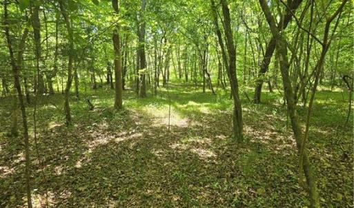 Photo #8 of 5022 Mt Hermon Rock Creek, Snow Camp, NC 19.7 acres