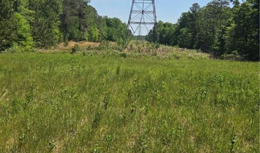 Photo #21 of 5022 Mt Hermon Rock Creek, Snow Camp, NC 19.7 acres