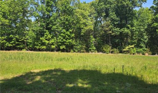 Photo #10 of 5022 Mt Hermon Rock Creek, Snow Camp, NC 19.7 acres