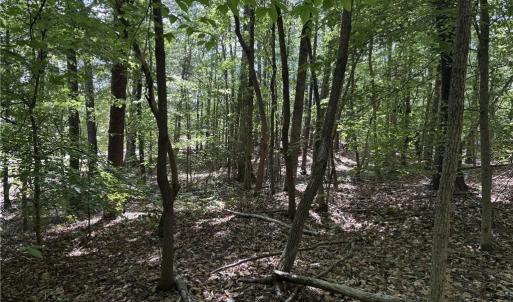 Photo #13 of Woodwinds, Pelham, NC 3.2 acres