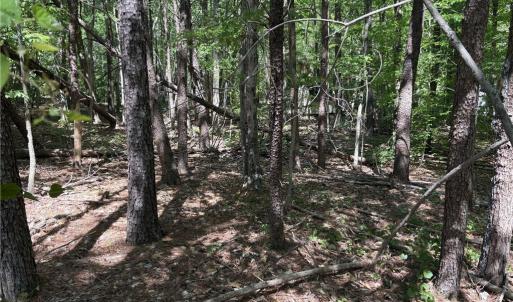 Photo #17 of Woodwinds, Pelham, NC 3.2 acres
