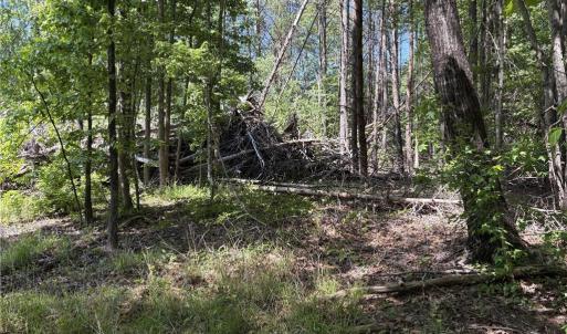 Photo #16 of Woodwinds, Pelham, NC 3.2 acres