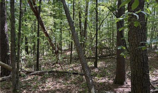 Photo #14 of Woodwinds, Pelham, NC 3.2 acres