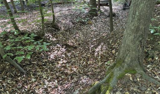 Photo #18 of Woodwinds, Pelham, NC 3.2 acres