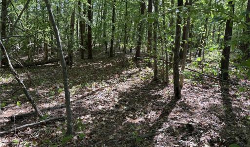 Photo #15 of Woodwinds, Pelham, NC 3.2 acres
