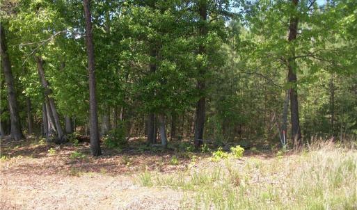 Photo #2 of Floyd, Eden, NC 33.3 acres