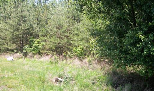Photo #3 of Floyd, Eden, NC 33.3 acres