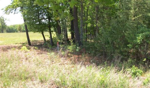 Photo #1 of Floyd, Eden, NC 33.3 acres