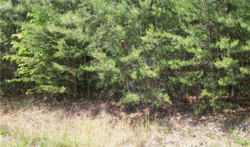 Photo #4 of Floyd, Eden, NC 33.3 acres