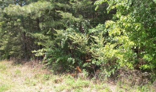 Photo #7 of Floyd, Eden, NC 33.3 acres