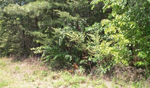 Photo #7 of Floyd, Eden, NC 33.3 acres