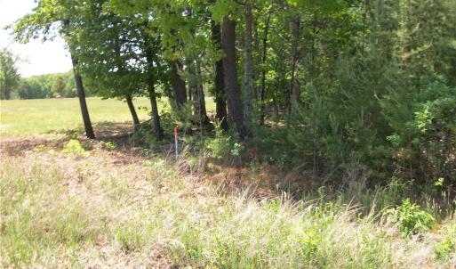 Photo #3 of Floyd, Eden, NC 33.3 acres