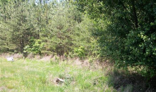 Photo #5 of Floyd, Eden, NC 33.3 acres