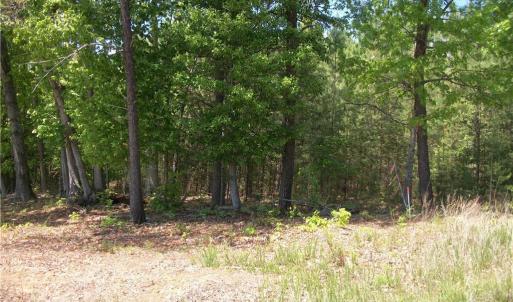 Photo #4 of Floyd, Eden, NC 33.3 acres