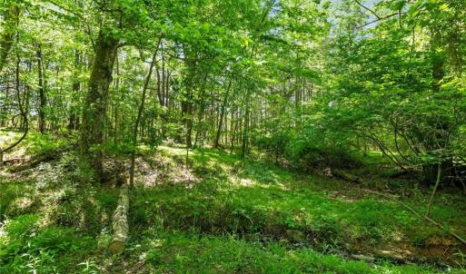 Path to Stream at the back of property