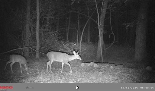 Photo #20 of 5706 TURNER SMITH, Browns Summit, NC 6.4 acres