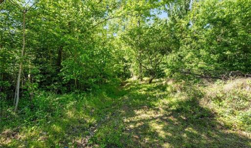 Photo #4 of 5706 TURNER SMITH, Browns Summit, NC 6.4 acres
