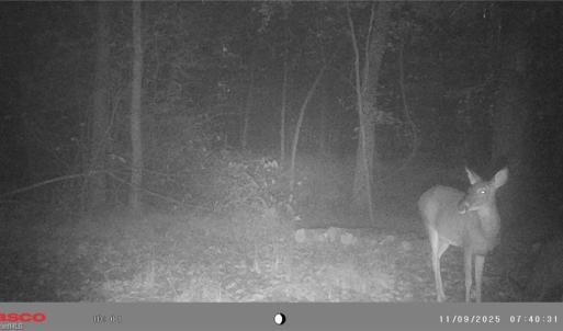Photo #21 of 5706 TURNER SMITH, Browns Summit, NC 6.4 acres