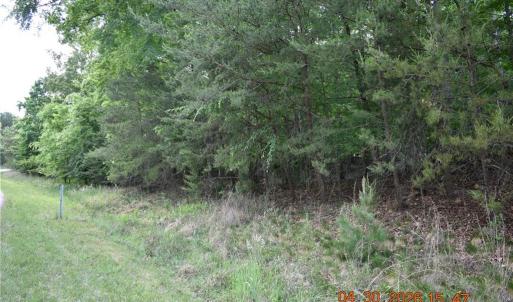 Photo #7 of 843 Renn, Stokesdale, NC 31.9 acres