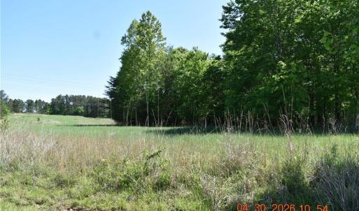 Photo #3 of 843 Renn, Stokesdale, NC 31.9 acres