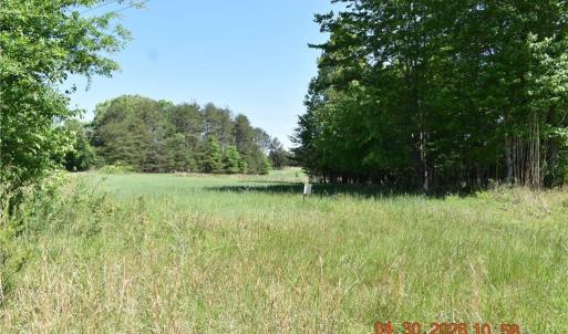 Photo #5 of 843 Renn, Stokesdale, NC 31.9 acres