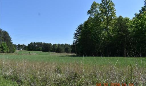 Photo #4 of 843 Renn, Stokesdale, NC 31.9 acres