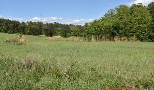 Photo #8 of 843 Renn, Stokesdale, NC 31.9 acres