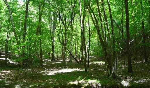 Photo #27 of Hilltop View, Germanton, NC 75.0 acres