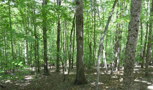 Photo #13 of Hilltop View, Germanton, NC 75.0 acres