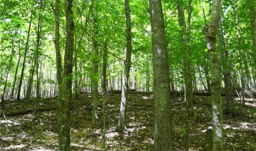 Photo #16 of Hilltop View, Germanton, NC 75.0 acres