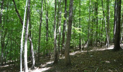 Photo #12 of Hilltop View, Germanton, NC 75.0 acres