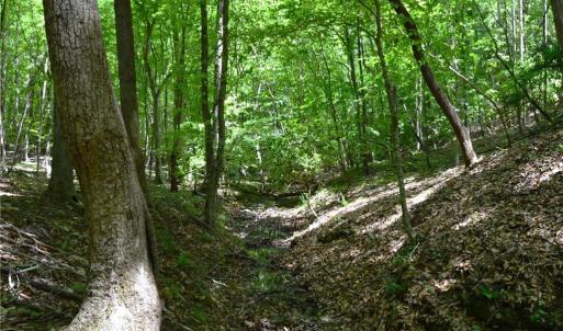 Photo #26 of Hilltop View, Germanton, NC 75.0 acres