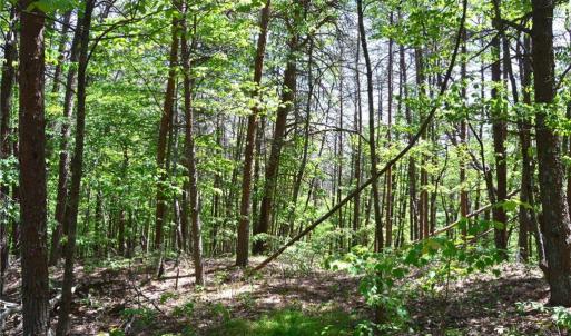 Photo #7 of Hilltop View, Germanton, NC 75.0 acres