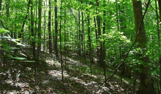 Photo #32 of Hilltop View, Germanton, NC 75.0 acres