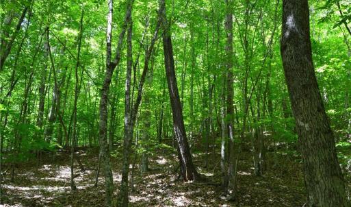 Photo #28 of Hilltop View, Germanton, NC 75.0 acres