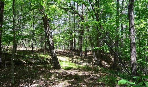 Photo #5 of Hilltop View, Germanton, NC 75.0 acres