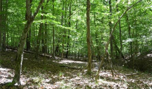 Photo #20 of Hilltop View, Germanton, NC 75.0 acres