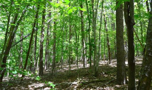Photo #9 of Hilltop View, Germanton, NC 75.0 acres