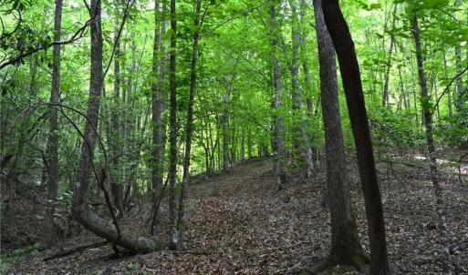 Photo #30 of Hilltop View, Germanton, NC 75.0 acres