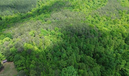 Photo #38 of Hilltop View, Germanton, NC 75.0 acres