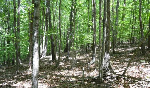 Photo #10 of Hilltop View, Germanton, NC 75.0 acres